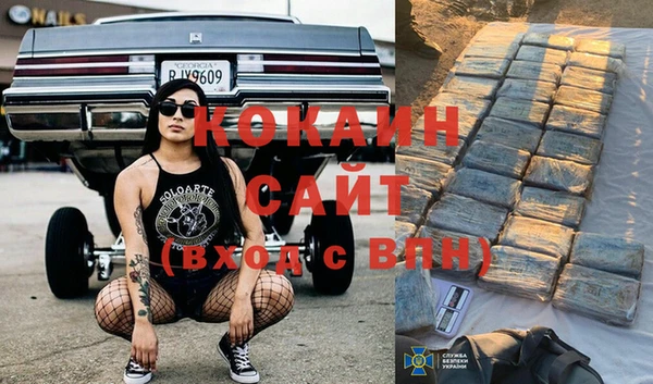 ешки Алзамай