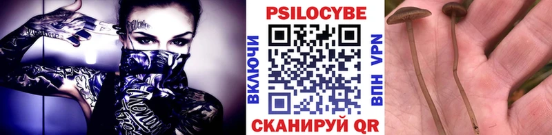 Псилоцибиновые грибы мухоморы  сколько стоит  Котлас 